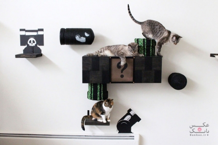 تبدیل اتاق خواب به جهانی جالب برای گربه ها