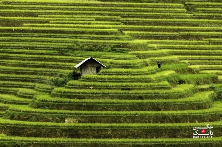 تصاویری از مناظر ویتنام