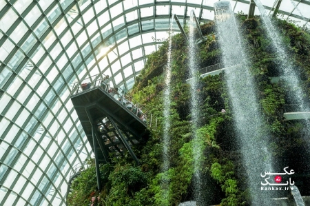 بزرگترین جنگل و آبشار مصنوعی جهان در سنگاپور