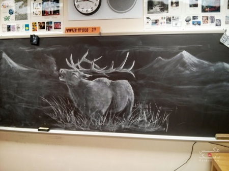 معلم نقاشی برای الهام بخشیدن به دانش آموزان خود بروی تخته سیاه تصاویر خیره کننده ای کشیده است.