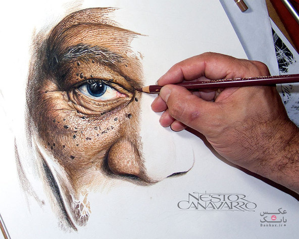 نقاشی ظریف از مورگان فریمن با مداد رنگی که ۵۰ ساعت طول کشید/بانک عکس