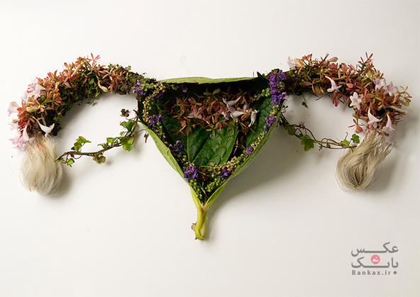 اعضای بدن انسان ساخته شده از گیاهان/بانک عکس